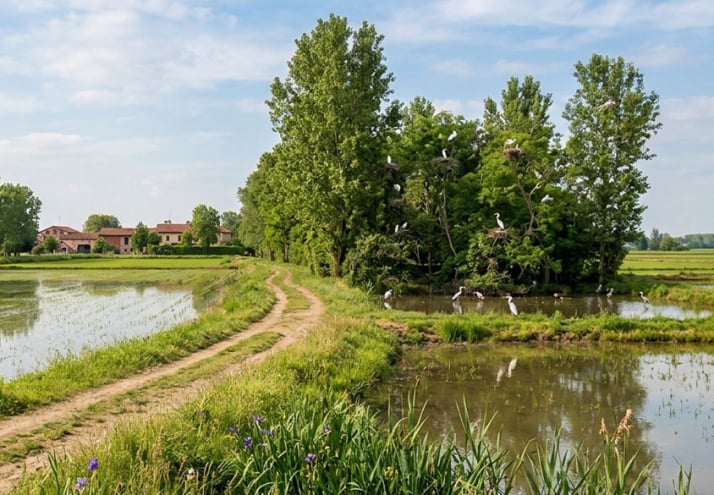 Gli amici del cammino - ASD Mortara - Aree naturalistiche